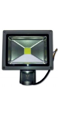 Прожектор LMPS10 10W 500LM 4000K с датчиком движения