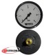 Манометр WATTS F+R100 0-6 Бар, Ø63mm
